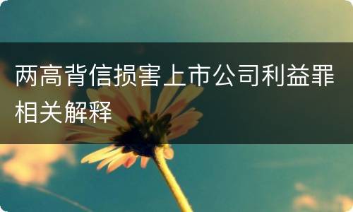 两高背信损害上市公司利益罪相关解释