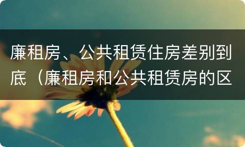 廉租房、公共租赁住房差别到底（廉租房和公共租赁房的区别）