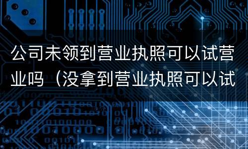 公司未领到营业执照可以试营业吗（没拿到营业执照可以试营业吗）