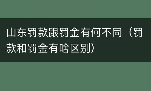 山东罚款跟罚金有何不同（罚款和罚金有啥区别）