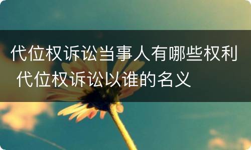 代位权诉讼当事人有哪些权利 代位权诉讼以谁的名义