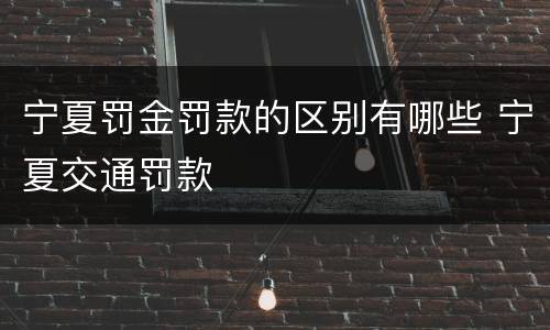 宁夏罚金罚款的区别有哪些 宁夏交通罚款