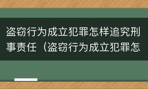盗窃行为成立犯罪怎样追究刑事责任（盗窃行为成立犯罪怎样追究刑事责任案件）