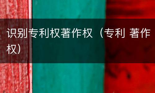 识别专利权著作权（专利 著作权）