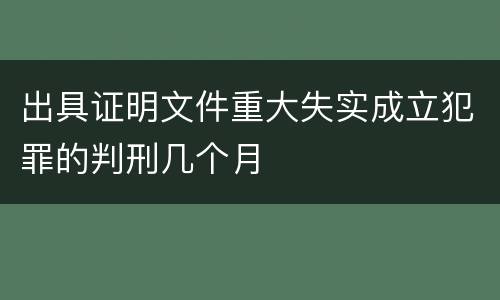 出具证明文件重大失实成立犯罪的判刑几个月