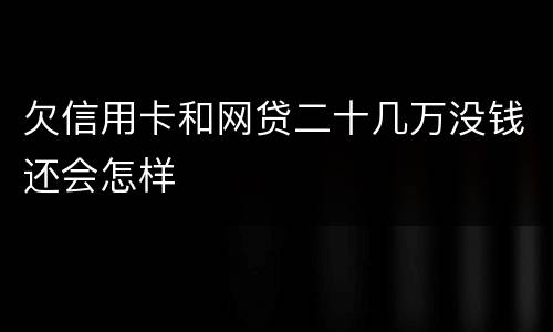 欠信用卡和网贷二十几万没钱还会怎样