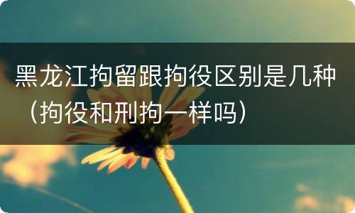 黑龙江拘留跟拘役区别是几种（拘役和刑拘一样吗）