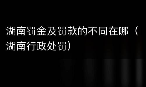 湖南罚金及罚款的不同在哪（湖南行政处罚）