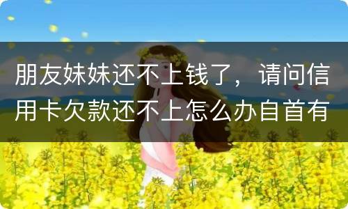 朋友妹妹还不上钱了，请问信用卡欠款还不上怎么办自首有用吗