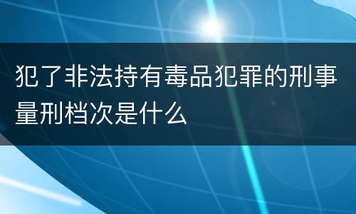 犯了非法持有毒品犯罪的刑事量刑档次是什么