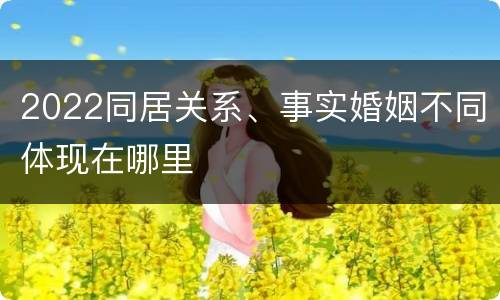 2022同居关系、事实婚姻不同体现在哪里