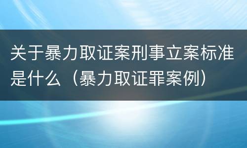 关于暴力取证案刑事立案标准是什么（暴力取证罪案例）