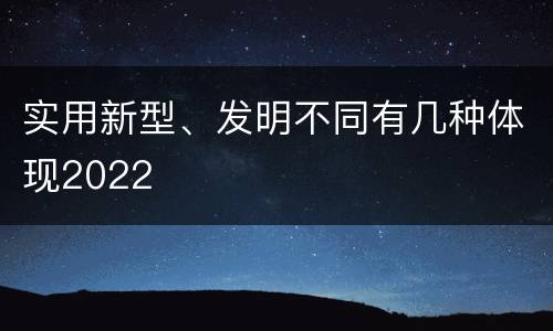 实用新型、发明不同有几种体现2022