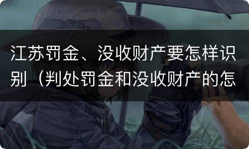 江苏罚金、没收财产要怎样识别（判处罚金和没收财产的怎么执行）