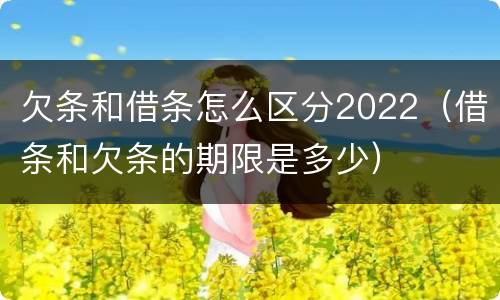 欠条和借条怎么区分2022（借条和欠条的期限是多少）