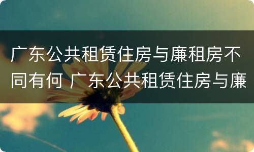 广东公共租赁住房与廉租房不同有何 广东公共租赁住房与廉租房不同有何条件