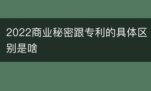 2022商业秘密跟专利的具体区别是啥