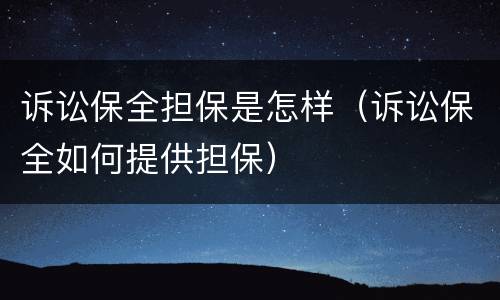 诉讼保全担保是怎样（诉讼保全如何提供担保）