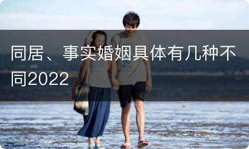 同居、事实婚姻具体有几种不同2022