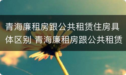 青海廉租房跟公共租赁住房具体区别 青海廉租房跟公共租赁住房具体区别在哪