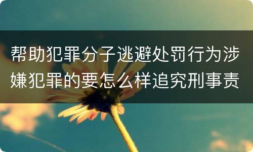 帮助犯罪分子逃避处罚行为涉嫌犯罪的要怎么样追究刑事责任