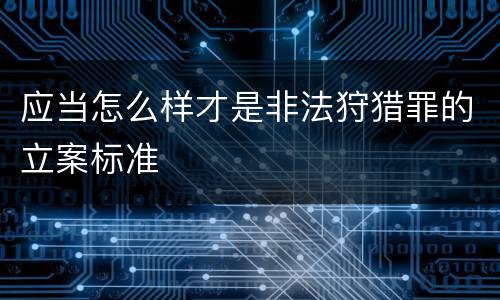 应当怎么样才是非法狩猎罪的立案标准