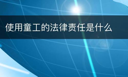 使用童工的法律责任是什么