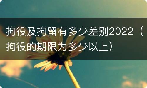 拘役及拘留有多少差别2022（拘役的期限为多少以上）