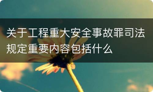 关于工程重大安全事故罪司法规定重要内容包括什么