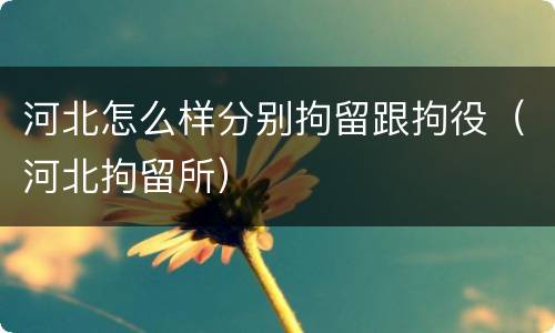 河北怎么样分别拘留跟拘役（河北拘留所）