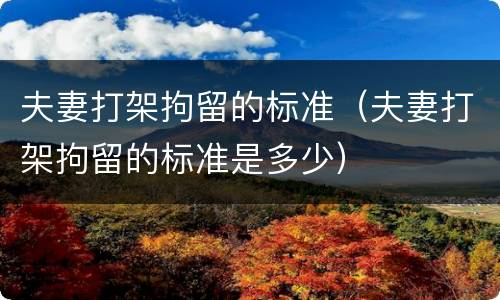 夫妻打架拘留的标准（夫妻打架拘留的标准是多少）