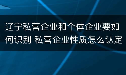 辽宁私营企业和个体企业要如何识别 私营企业性质怎么认定