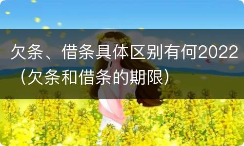 欠条、借条具体区别有何2022（欠条和借条的期限）
