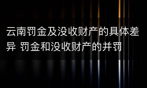 云南罚金及没收财产的具体差异 罚金和没收财产的并罚