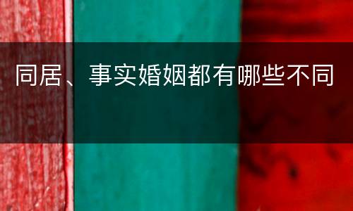 同居、事实婚姻都有哪些不同