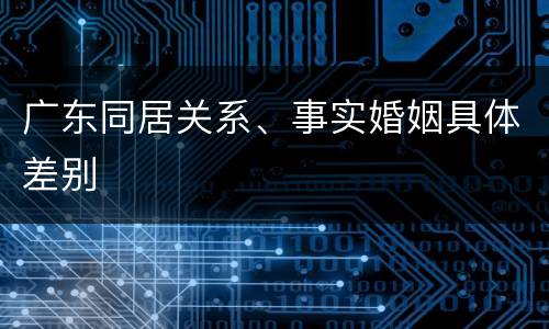广东同居关系、事实婚姻具体差别