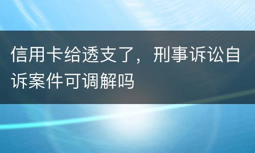 信用卡给透支了，刑事诉讼自诉案件可调解吗