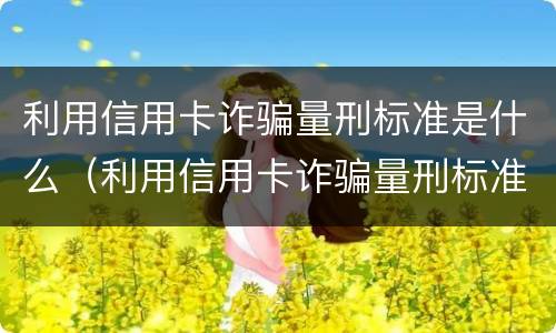 利用信用卡诈骗量刑标准是什么（利用信用卡诈骗量刑标准是什么意思）