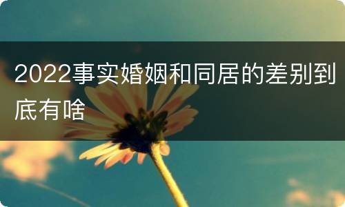 2022事实婚姻和同居的差别到底有啥