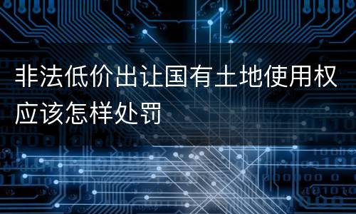 非法低价出让国有土地使用权应该怎样处罚