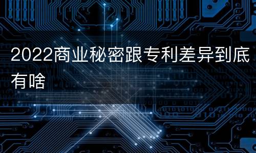 2022商业秘密跟专利差异到底有啥