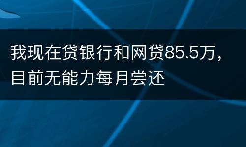 我现在贷银行和网贷85.5万，目前无能力每月尝还