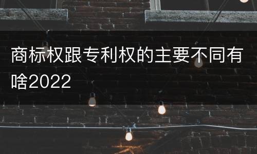 商标权跟专利权的主要不同有啥2022