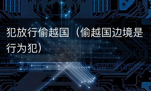 犯放行偷越国（偷越国边境是行为犯）