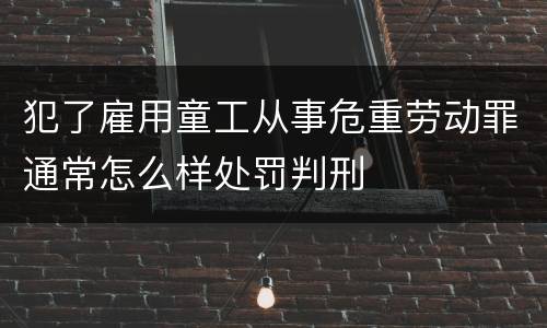 犯了雇用童工从事危重劳动罪通常怎么样处罚判刑