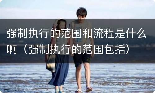 强制执行的范围和流程是什么啊（强制执行的范围包括）