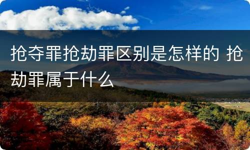 抢夺罪抢劫罪区别是怎样的 抢劫罪属于什么