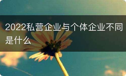 2022私营企业与个体企业不同是什么