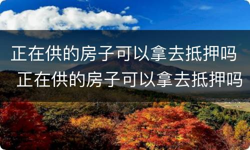 正在供的房子可以拿去抵押吗 正在供的房子可以拿去抵押吗多少钱