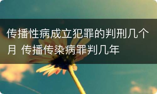 传播性病成立犯罪的判刑几个月 传播传染病罪判几年